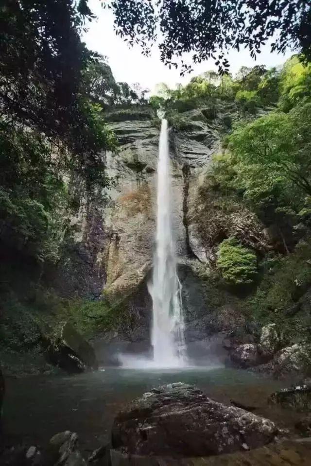 忍者鲨鱼